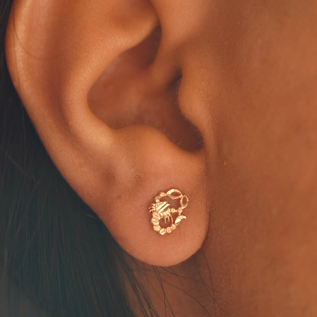 Close-up shot of a model wearing the 14K Solid Gold Scorpion Push Back Stud Earrings, showcasing the intricate scorpion design and radiant gold finish.