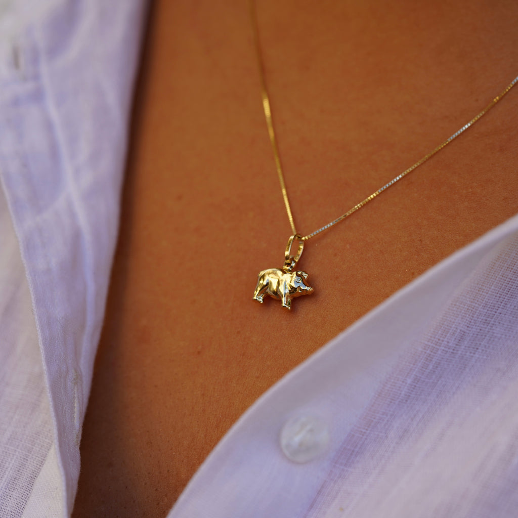 Front view of a model wearing the 14K Solid Gold Pig Charm, displaying the charm’s intricate design and polished finish.