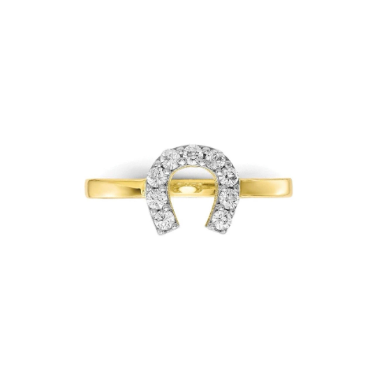 Horseshoe ring 3D picture